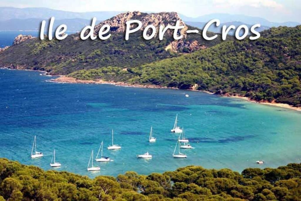 Studio Port De Hyeres Proche Des Plages Eksteriør billede
